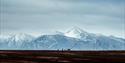 People walking in the horizon with large mountains in the background.