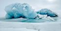 Two "icebergs" lying on top of the sea ice. The icebergs are blue and partly covered in snow.