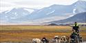 © Visit Svalbard