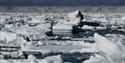 A lot of sea ice in the ocean with majestic snowcovered mountains in the background