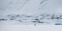 A polar bear walks across the ice with mountains in the background.
The photo was taken at a very long distance with a telephoto lens with a lot of zo