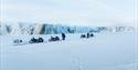 © Visit Svalbard