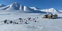 The cabin Reinheim in a snowy landscape, whit dogs resting outside.