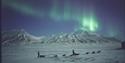 Dog sledding beneath the Northern Lights