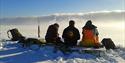 A guide and two guests sitting down for a lunch break during a hike, with a snowy landscape and blue skies around them