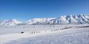 Oversiktsbilde av deltakere som går ut fra startområdet på Svalbard Skimaraton