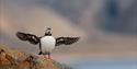 © Visit Svalbard