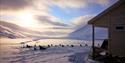 Wilderness cabin, sleddogs and parked sledges in a snowcovered landscape on a sunny springday