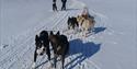 A dog sled in the foreground, together with two people on skis. In the background there are mountains and a clear sky.