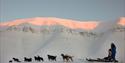 © Visit Svalbard