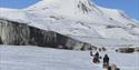 Dogs and guests driving dog sleds in a line in the foreground surrounded by a snowy landscapes with a glacier front and a mountain in the background