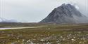 Et grønt flatt landskap med et fjell og overskyet himmel i bakgrunnen