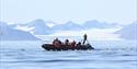 Persons fishing from a RIB boat on Isfjorden while surrounded by seagulls