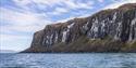 Fuglefjell med spor etter fugleavføring og grønn vegetasjon med sjø i forgrunnen og en lett skyet blå himmel i bakgrunnen

Bird cliffs with traces of