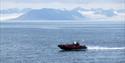 A RIB boat sailing across a vast open fjord with mountains and glaciers far away in the background