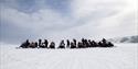 A line of snowmobiles and guests taking a break on snow-covered sea ice with a glacial wall in the background