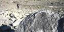 A rock with a fossil in the foreground with a rocky field and guests searching for fossils in the background