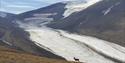 A Svalbard reindeer on a mountain ridge in the foreground with the glacier Longyearbreen and a massive mountain in the background