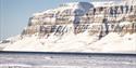 A snow-covered mountain with a fjord where a walrus is resting on a sheet of ice in the foreground