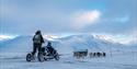 © Visit Svalbard