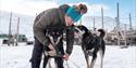 © Visit Svalbard