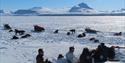 A group of guests and guides sitting in snow while taking a lunch break, with dog sleds and resting dogs and a snowy landscape in the background