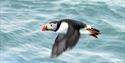 © Visit Svalbard