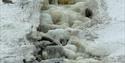 © Visit Svalbard