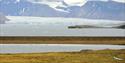 A tundra landscape in the foreground with a fjord, a glacier and a range of mountains in the background