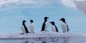 © Visit Svalbard