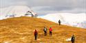 Group of people walking up a hill