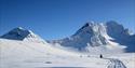 Tour-group driving snowmobiles