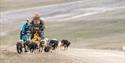 Dog sledding with a wagon