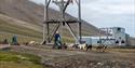 Dog sledding in front of old mining structures