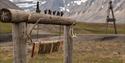 The sign at Svalbard Husky's dog yard