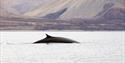 © Visit Svalbard