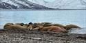© Visit Svalbard