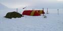 a tent camp during winter at Svalbard. A dog laying outside the tents