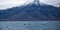 © Visit Svalbard