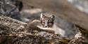 © Visit Svalbard