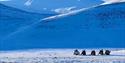 © Visit Svalbard