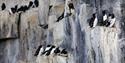 © Visit Svalbard