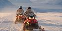 Guests on snowmobiles