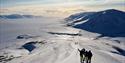Skiers on a mountain in sunny conditions
