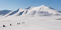 Snowmobile tour group out driving