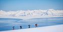 Four people stand on a mountain ledge, looking out over the fjord with skis on their feet.