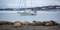 © Visit Svalbard