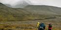 People hiking in the wilderness during the summer, with mountains in the background.