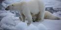 © Visit Svalbard