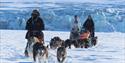 Three persons with a dog sled each with sled dogs in front, running in a line over a snowy plain with a snow-covered range of mountains and a glacier